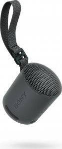 Głośnik Sony Sony SRS-XB100 Czarny 1