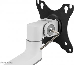 Neomounts Uchwyt biurkowy na monitor 17" - 27" (DS60-425WH1) 16
