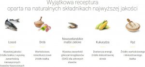 Josera Adult Festival 12,5kg 2