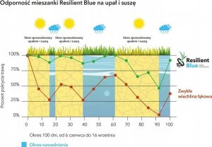 Kadax Trawa Barenbrug Resilient Blue Lawn Odporna 1kg 2