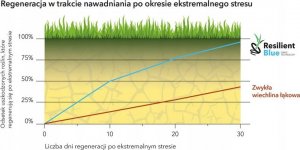 Kadax Trawa Barenbrug Resilient Blue Lawn Odporna 1kg 3