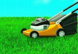 Kadax Barenbrug Trawa Na Tereny Suche 5kg Water Saver 10