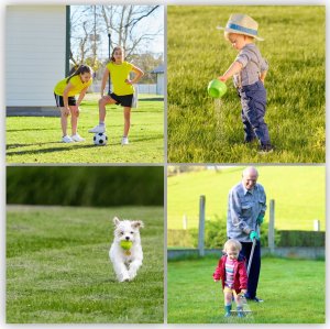 Kadax Trawa Uniwersalna Szybko Zagęszczająca 1kg 40m2 4