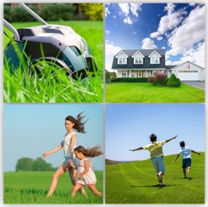 Kadax Trawa Uniwersalna Szybko Zagęszczająca 1kg 40m2 8