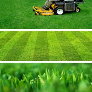 Kadax Trawa Uniwersalna Nasiona Samozagęszczająca 3kg 4