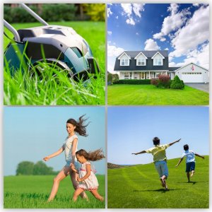 Kadax Trawa Uniwersalna Nasiona Samozagęszczająca 3kg 10