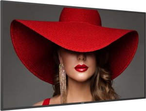 Monitor Philips D-Line 65BDL4650D/00 2