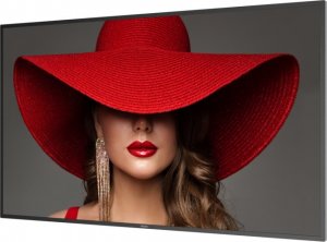 Monitor Philips D-Line 65BDL4650D/00 3