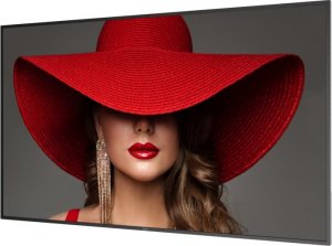 Monitor Philips D-Line 75BDL4650D/00 3