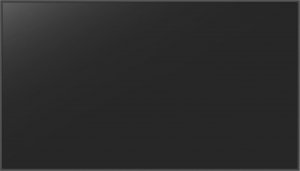 Monitor Avtek DS 86' (1TV316) 2