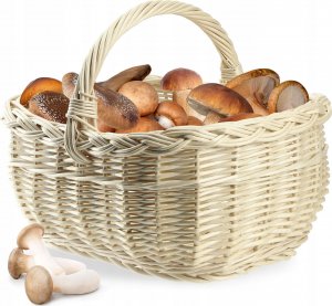 Kadax KADAX Koszyk Wiklinowy Zakupy Grzyby Kosz Biały 15