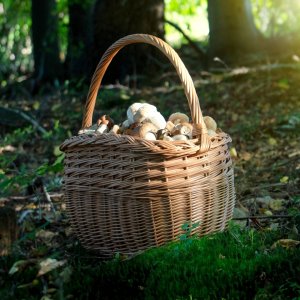 Kadax KADAX Koszyk Wiklinowy Zakupy Grzyby Kosz Duży 2