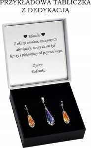 Radziszewska Jewellery Kolczyki Srebrne na łańuszku kostki 2