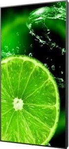 Monitor NEC MultiSync E988 (60005929) 2