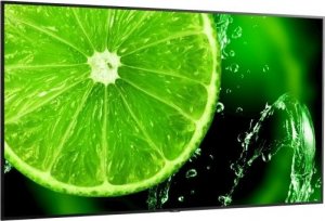 Monitor NEC MultiSync E988 (60005929) 5