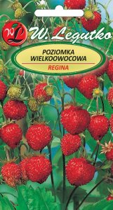 Legutko Nasiona Poziomka Regina, owoce czerwone, duże 0,1g 1