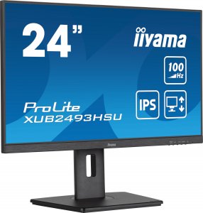 Monitor iiyama ProLite XUB2493HSU-B6 13