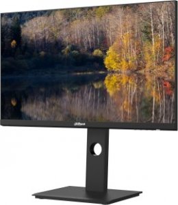 Monitor Dahua Technology LM24-P301A 6
