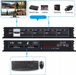 Przełącznik Pawonik 13