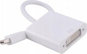 Adapter AV Pawonik ADAPTER KABEL MINI DISPLAYPORT DO DVI THUNDERBOLT 7