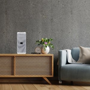 Głośnik Jellico GŁOŚNIK PRZENOŚNY MOCNY BASS BLUETOOTH 5.0 USB 8