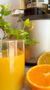 Wyciskarka wolnoobrotowa 4Swiss Swan BM225 srebrna 7