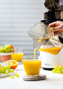 Wyciskarka wolnoobrotowa 4Swiss Swan BM225 biała 6