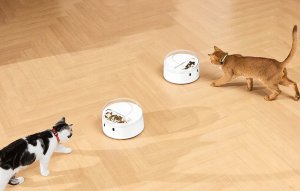 Catlink Inteligentny dozownik karmy CatLink F03 Standard 3