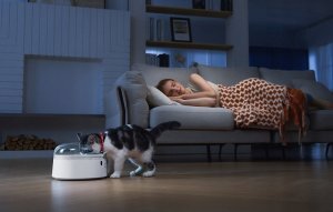 Catlink Inteligentny dozownik karmy CatLink F03 Standard 7