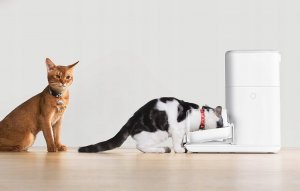 Catlink Inteligentny dozownik karmy Fresh 2 CatLink F04 PRO 6