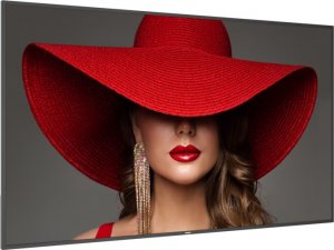 Monitor Philips D-Line 86BDL4650D/00 2