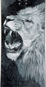 RAVEN Deska Lion 2023 5