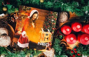 Kalendarz adwentowy Neo GD034 3