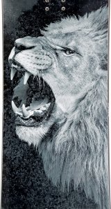 RAVEN Deska snowboardowa Raven Lion 159cm Wide 2