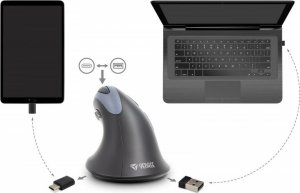 Mysz Yenkee Mysz ergonomiczna pionowa YMS 50350 ERGO USB A , USB C 8