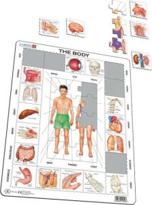 Larsen Układanka Nasze ciało Maxi 1