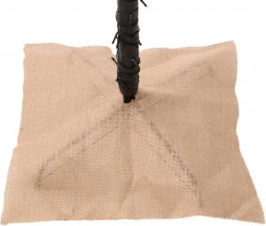vidaXL Palma z oświetleniem, 136 ciepłych białych LED, 220 cm 8