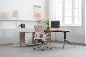 Krzesło biurowe Jumi Zeo Beżowe 4