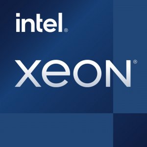 Procesor serwerowy Intel Intel Intel Xeon E-2388G 1
