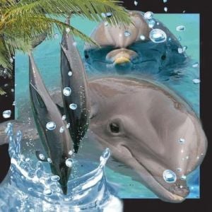 Worth-Keeping PocztĂłwka 3D Delfin 1