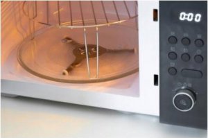 Kuchenka mikrofalowa Daewoo KUCHENKA MIKROFALOWA DM-3152DBG 1000W, 31l, czarna, elektr 2