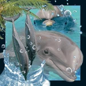 Worth-Keeping Magnes na lodĂłwkÄ™ 3D Delfin 1