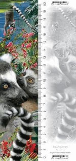 Worth-Keeping ZakĹ‚adka 3D Lemur 1