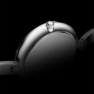 Zegarek Pierre Ricaud Zegarek damski Pierre Ricaud P23003.5174Q CYRKONIE srebrny 9