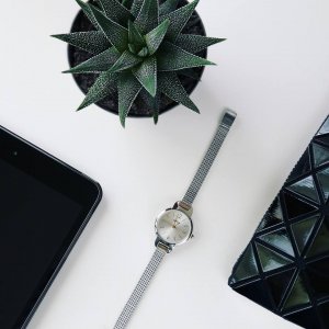 Zegarek Opex Zegarek damski Opex X4034MA2 srebrny 4