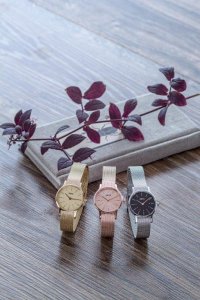 Zegarek Opex Zegarek damski Opex X4071MA3 srebrny 3