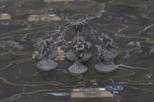 Go on board Gra planszowa Wiedźmin: Stary Świat - Edycja deluxe 8