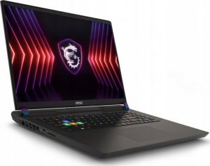 Laptop MSI Vector 17 HX A13VIG-834PL i9-13980HX / 32 GB / 1 TB / W11 / RTX 4080 / 165 Hz 4