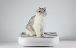 Petkit Schody do kuwet PetKit 5