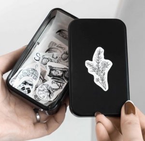 Phomemo Papier Wkład Wkłady Samoprzylepny 3x Rolka 50mm do Phomemo T02 / M02 PRO / M02X / Q12-RMS10 6